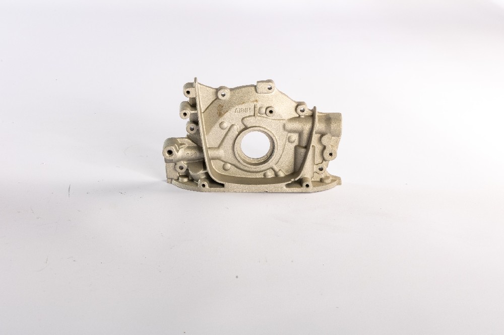 文杰智能舉行**WJA線性壓鑄專用機(jī)器人客戶體驗交流會